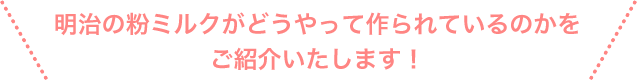 明治の粉ミルクがどうやって作られているのかをご紹介いたします！
