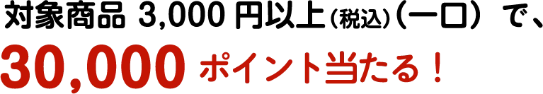 対象商品 3,000円以上（税込）（一口）で、30,000ポイント当たる！