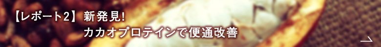 【レポート２】新発見! カカオプロテインで便通改善