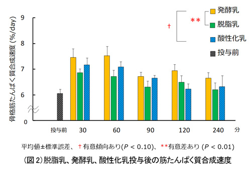グラフ：(図2）脱脂乳、発酵乳、酸性化乳投与後の筋たんぱく質合成速度のグラフ画像
