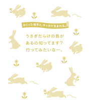 イラスト：「明治ハイミルクチョコレート」動物のデザインパッケージ裏面