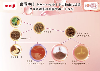 画像：カカオセラミドの抽出イメージ