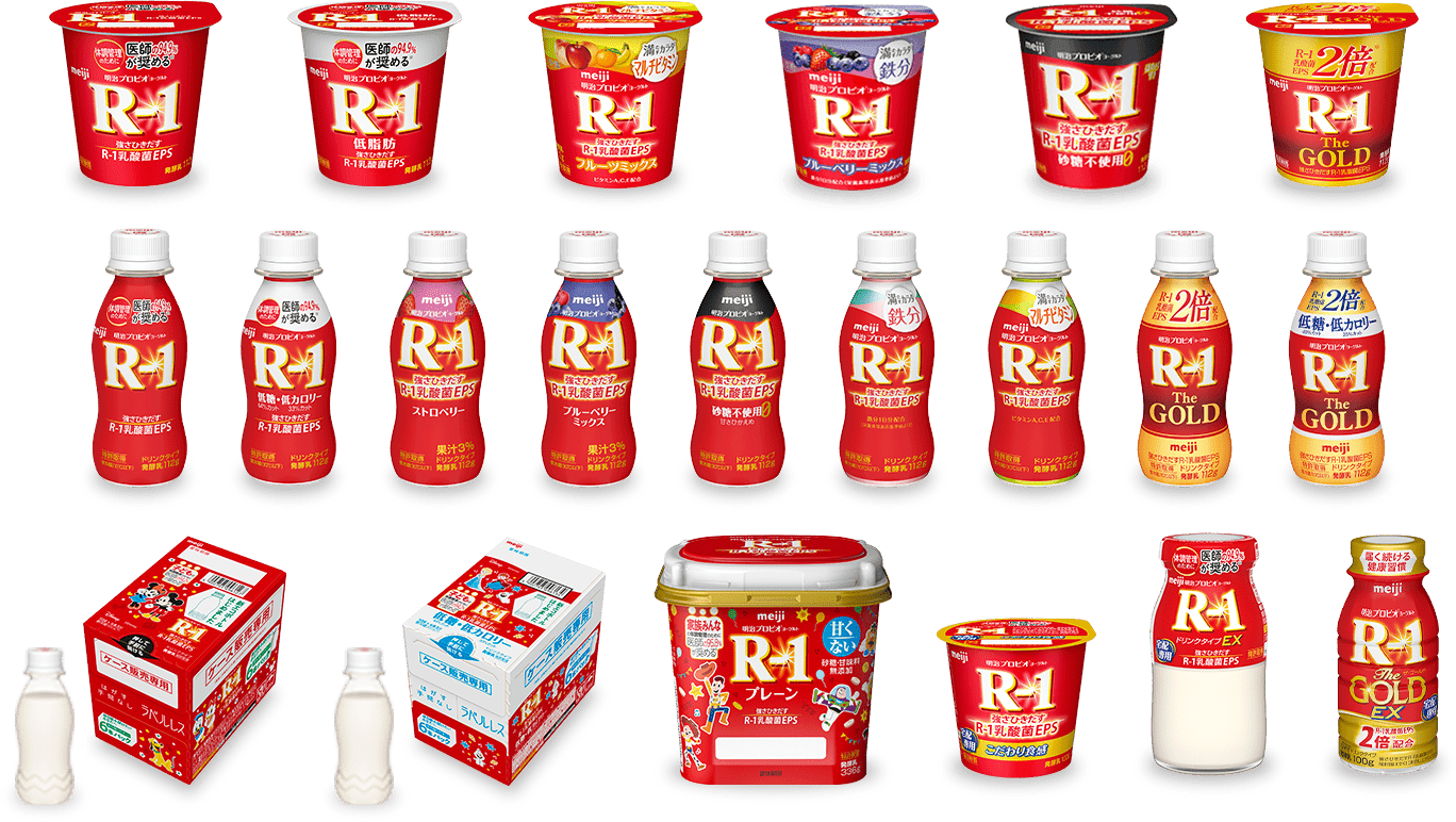 R-1 製品イメージ