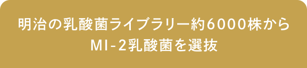 明治の乳酸菌ライブラリー約6000株からMI-2乳酸菌を選抜