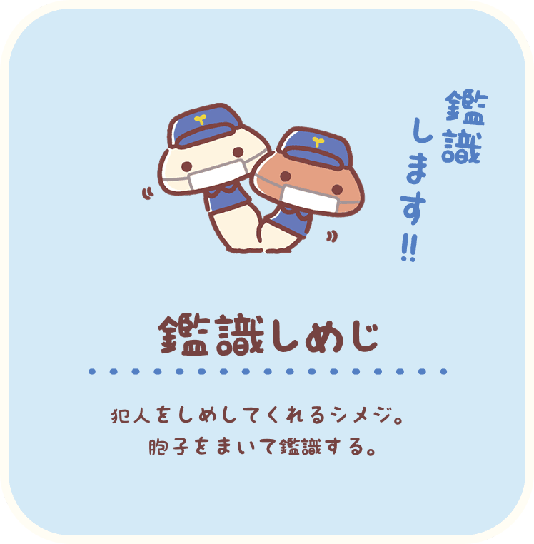 鑑識しめじ：犯人をしめしてくれるシメジ。胞子をまいて鑑識する。