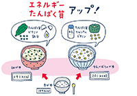 栄養の基礎知識