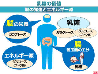 神秘の食品「乳」 スライドイメージ