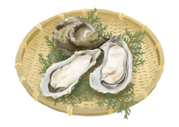 牡蠣（カキ）