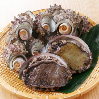 巻貝の仲間