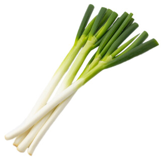 ねぎ