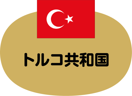トルコ共和国