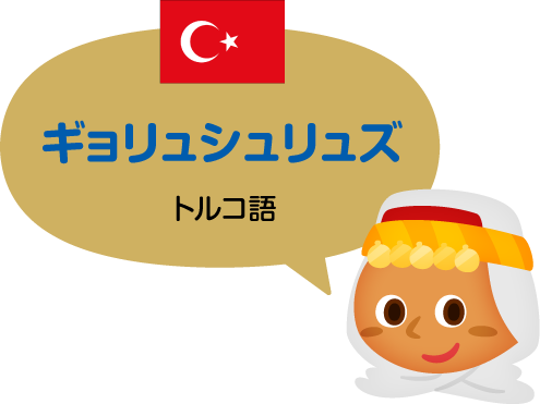 ギョリュシュリュズ／トルコ語