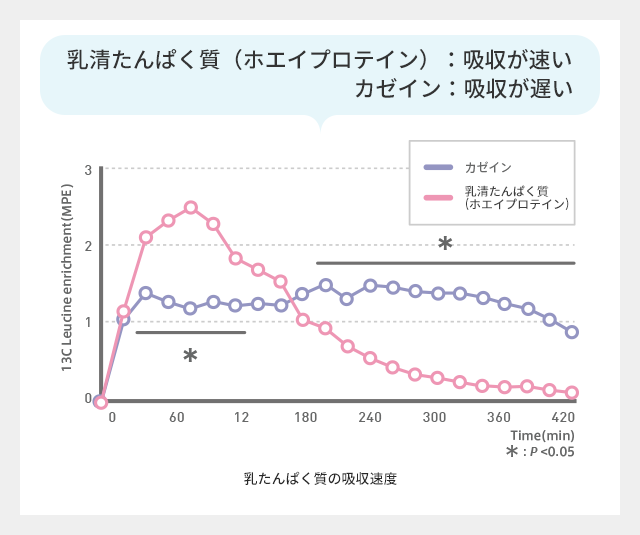ホエイプロテイン：吸収が速い カゼイン：吸収が遅い