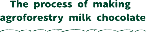 The process of making agroforestry milk chocolate