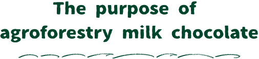 The purpose of agroforestry milk chocolate