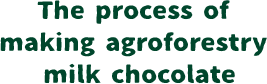 The process of making agroforestry milk chocolate