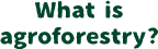 What is agroforestry？