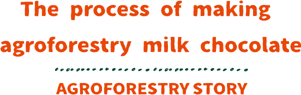 The process of making agroforestry milk chocolate