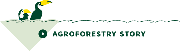 AGROFORESTRY STORY