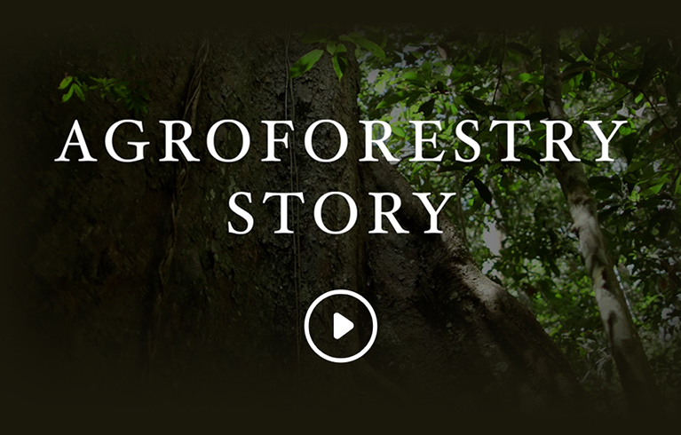 AGROFORESTRY STORY