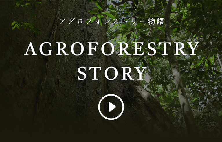 アグロフォレストリー物語