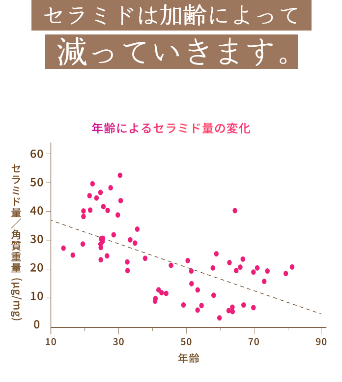 セラミドは加齢によって減っていきます。年齢によるセラミド量の変化