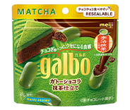 Galbo Chocolate Gateau Matcha Flavor Pouch 60 g