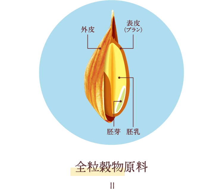 まるごと全粒のイメージ。全粒穀物原料＝