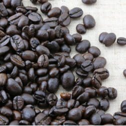 meiji THE Cacao