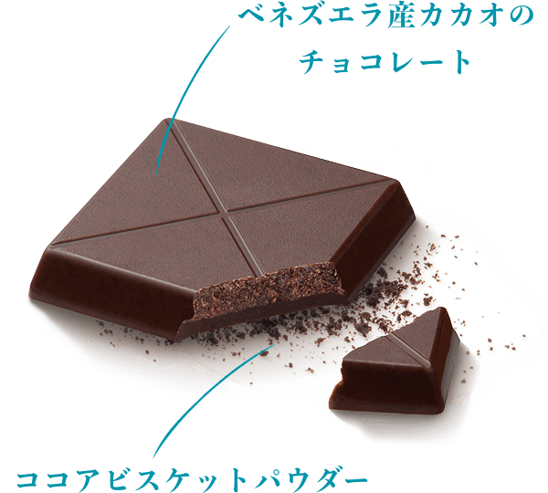サクショコラ 断面図