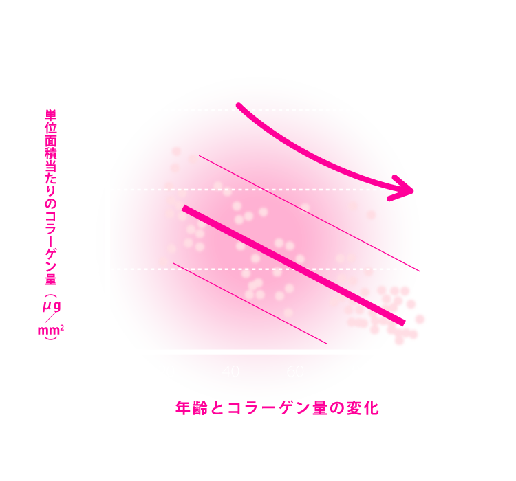 年齢とコラーゲン量の変化