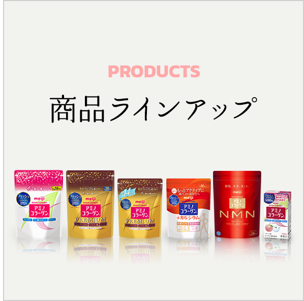 商品ラインアップ
