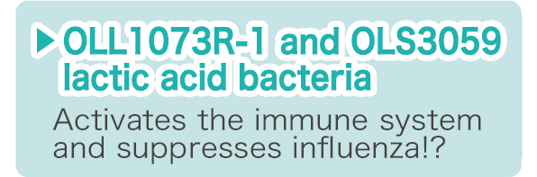 OLL1073R-1 and OLS3059 lactic acid bacteria