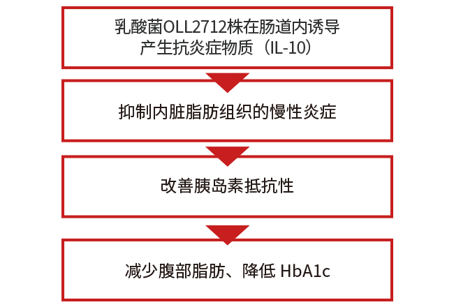 乳酸菌OLL2712株的作用与机制