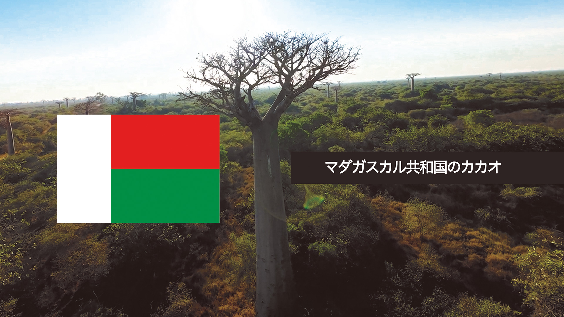 REPUBLIC OF MADAGASCAR マダガスカル共和国 世界が注目するクリオロの産地マダガスカル