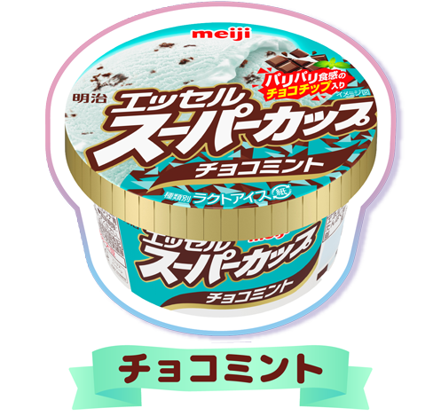 明治 エッセル スーパーカップ チョコミント