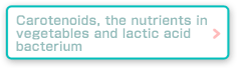 Carotenoids, the nutrients in vegetables and lactic acid bacterium