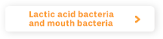 Lactic acid bacteria and mouth bacteria