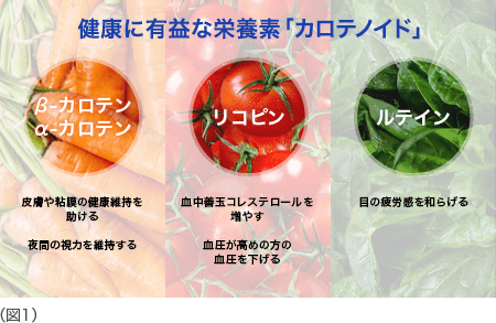 健康に有益な栄養素「カロテノイド」 図1