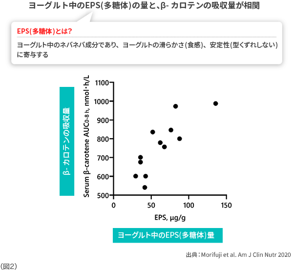 ヨーグルト中のEPS（多糖体）の量と、β-カロテンの吸収量が相関 図2