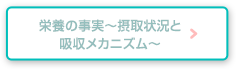 栄養の事実〜摂取状況と吸収メカニズム〜