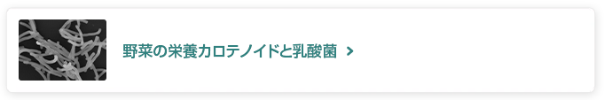 野菜の栄養カロテノイドと乳酸菌
