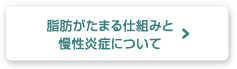 脂肪がたまる仕組みと慢性炎症について