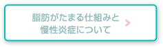 脂肪がたまる仕組みと慢性炎症について