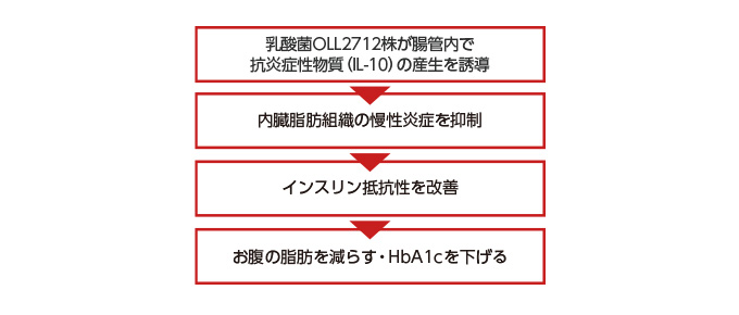 乳酸菌OLL2712株の作用とメカニズムとは