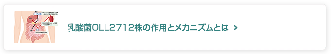 乳酸菌OLL2712株の作用とメカニズムとは