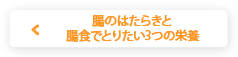 腸のはたらきと腸食でとりたい3つの栄養